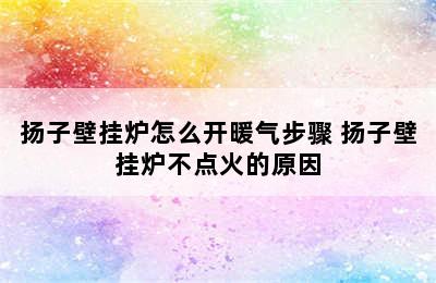 扬子壁挂炉怎么开暖气步骤 扬子壁挂炉不点火的原因